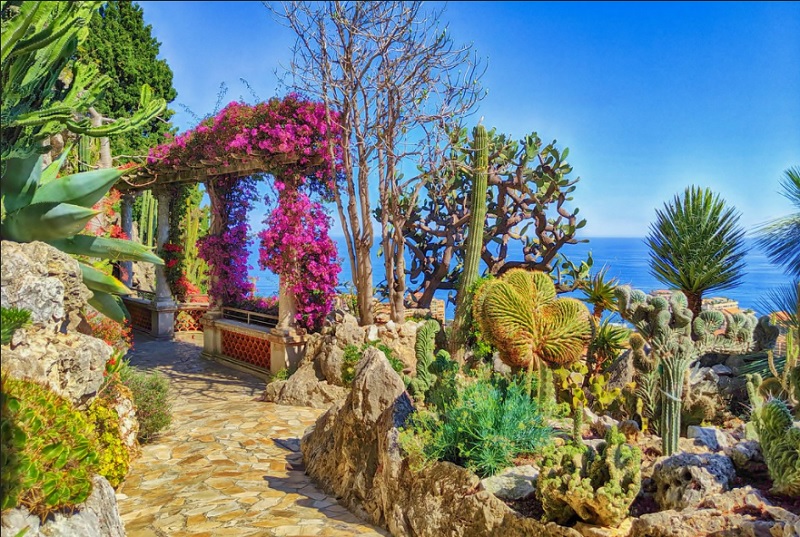 Jardin Exotique of Monaco ~ Flickr, MoonDoggie71.